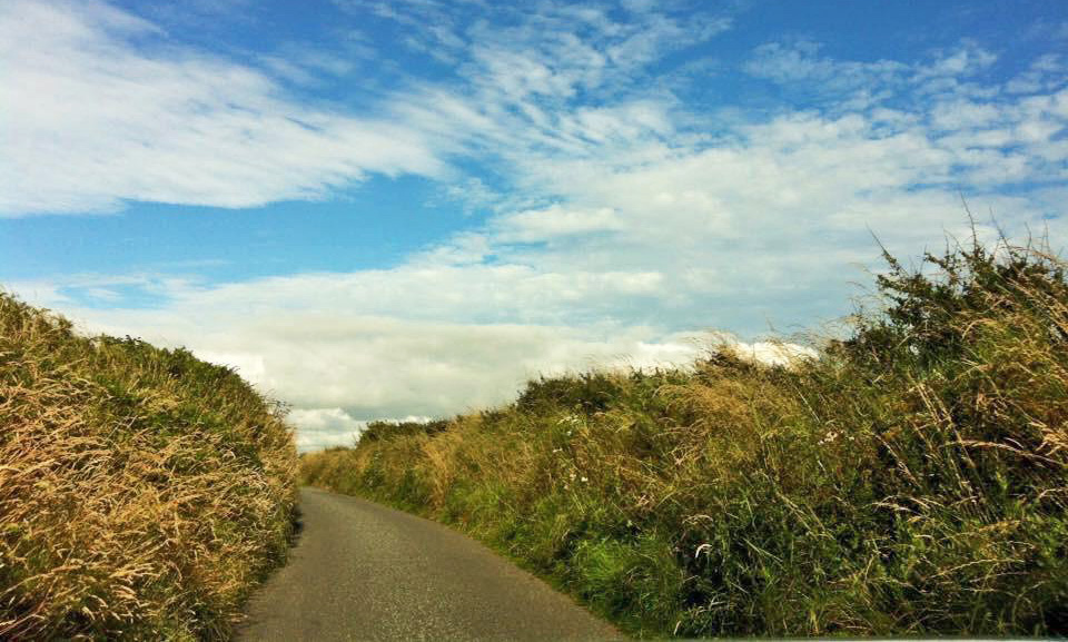 One of the many narrow roads in Pembrokeshire, Wales