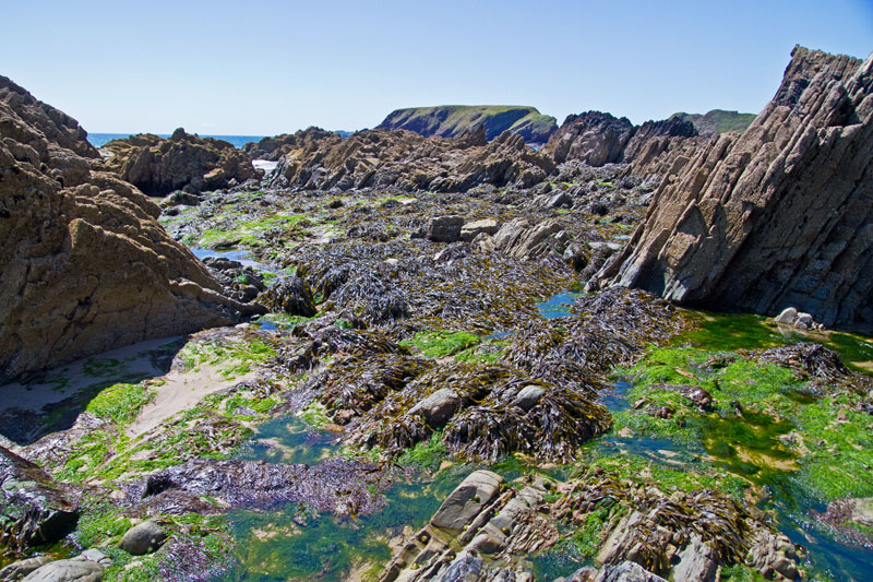 Marloes Sand at low tide