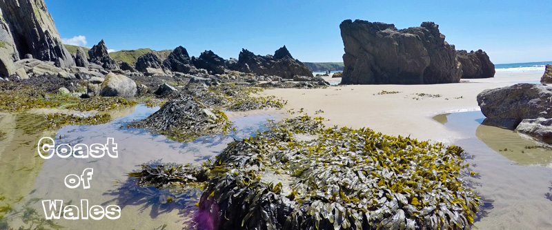 Coastline of Pembrokeshire, Wales