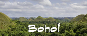 Why Bohol and not Palawan