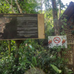 Rules of the Philippine Tarsier Sanctuary