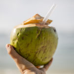 Enjoying a fresh coconut on monkey beach at Pulau Pinang National Park