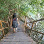 Broken Metal Stairs inside Pulau Pinang National Park