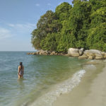 The monkey beach at Pulau Pinang National Park