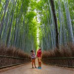 Cezar & Valeria In The Bamboo Forest