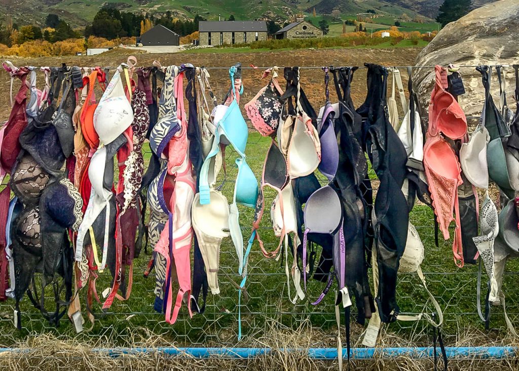 Hanging bras on fence